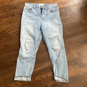 Everlane the cheeky jean